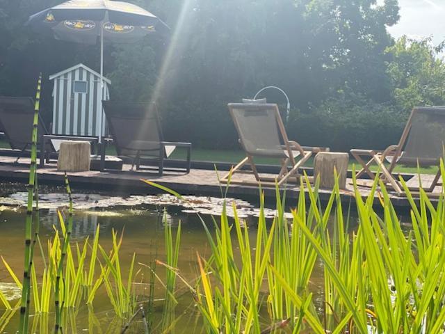Villa Copis Borgloon Eksteriør bilde